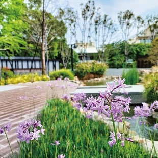 千坪花園森呼吸_工作區域 1.jpg